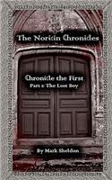Noricin Chronicles