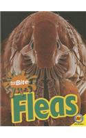 Fleas: (Bugs That Bite)