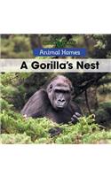 Gorilla's Nest