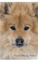 Eurasier February Notebook Eurasier Record, Log, Diary, Special Memories, To Do List, Academic Notepad, Scrapbook & More