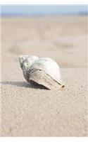 Whelk Shell on the Beach Journal: 150 page lined notebook/diary