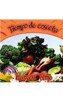 Tiempo de Cosecha