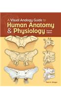 A Visual Analogy Guide to Human Anatomy & Physiology