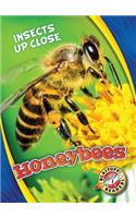 Honeybees