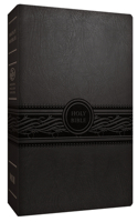 Personal Size Large Print Bible-Mev