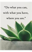 Do what you can, with what you have, where you are