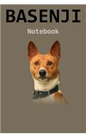 Basenji Notebook