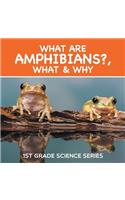 What Are Amphibians?, What & Why: 1st Grade Science Series