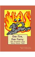 One Fire, One Furry