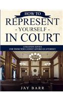 How to Represent Yourself in Court