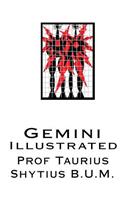 Gemini: Illustrated