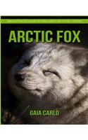 Arctic Fox