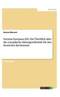 Societas Europaea (SE). Ein Überblick über die europäische Aktiengesellschaft für den deutschen Rechtsraum