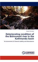 Deteriorating condition of the Bishnumati river in the Kathmandu basin