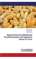 Agrobacterium-Mediated Transformation of Reporter Gene in Corn