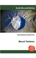 Mount Tambora