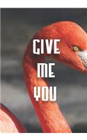 Give Me You