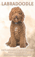 Labradoodle: Faits amusants sur les chiens pour les enfants #40