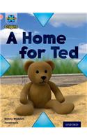 Project X Origins: Pink Book Band, Oxford Level 1+: My Home: A Home for Ted