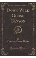 Down Wild Goose Canyon (Classic Reprint)