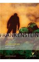 Frankenstein: York Notes for GCSE