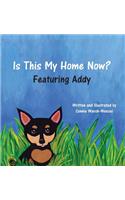 Is This My Home Now? Featuring Addy