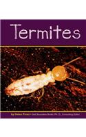 Termites