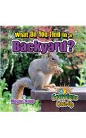What Do You Find in a Backyard?: (Ecosystems Close-Up)
