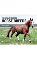 The Ultimate Guide to Horse Breeds
