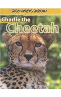 Charlie the Cheetah