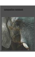 Composition Notebook: Close up of an Elephant Eye themed College Ruled Composition Notebook