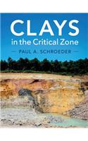Clays in the Critical Zone