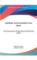 Sabellidae and Serpulidae from Japan