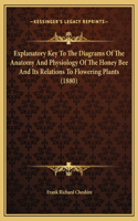 Explanatory Key To The Diagrams Of The Anatomy And Physiology Of The Honey Bee And Its Relations To Flowering Plants (1880): (English)