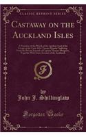 Castaway on the Auckland Isles
