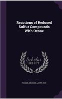 Reactions of Reduced Sulfur Compounds with Ozone