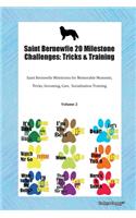 Saint Bernewfie 20 Milestone Challenges: Tricks & Training Saint Bernewfie Milestones for Memorable Moments, Tricks, Grooming, Care, Socialization Training Volume 2