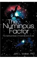 Numinous Factor
