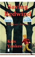 Saving Redwind