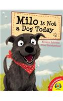 Milo Is Not a Dog Today