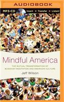 Mindful America