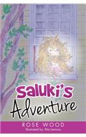 Saluki's Adventure