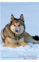 West Siberian Laika Affirmations Workbook West Siberian Laika Presents: Positive and Loving Affirmations Workbook. Includes: Mentoring Questions, Guidance, Supporting You.