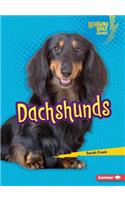 Dachshunds