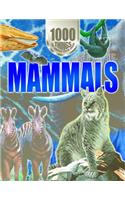 Mammals