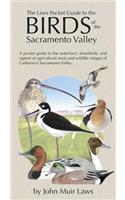 Laws Pocket Guide to the Birds of the Sacramento Valley