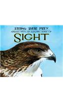 Seeing Their Prey: Animals with an Amazing Sense of Sight