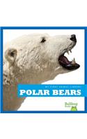 Polar Bears