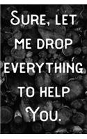 Sure, let me drop everything to help you.: lined notebook/journal