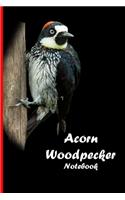 Acorn Woodpecker Notebook: Beautiful notebook with bird motive. 6"x9" inch(11 Birds)